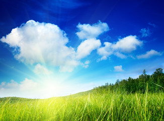 Fototapeta na wymiar grass and perfect sky