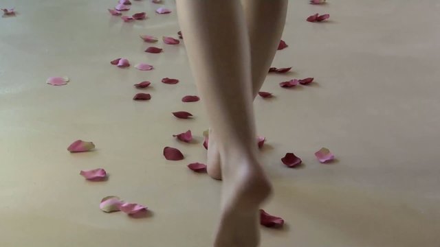 camminando sui petali a figura intera