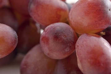 Red Grapes Bunch - close up