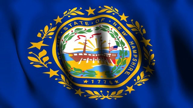 New Hampshire (US) Flag