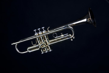 Fototapeta na wymiar Gold Trumpet Isolated on Black