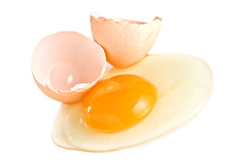 egg