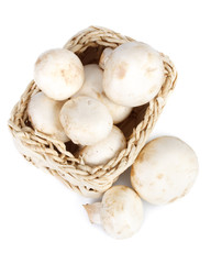 Fresh appetizing mushrooms