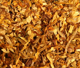 tobacco texture