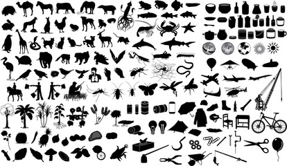 animal tool plant human insect fish sihouette