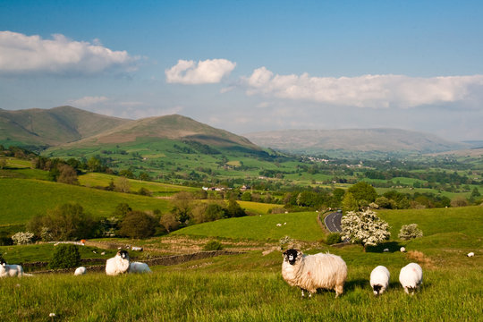 Sedbergh