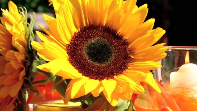 Sommerliche Terrasse