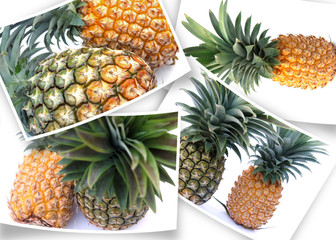 quatre photos courbes d'ananas