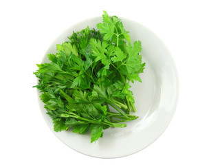 Parsley on white plate.Top view.Isolated