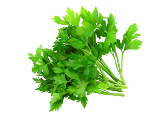 Parsley on white background.Top view. Clouse-Up.Isolated