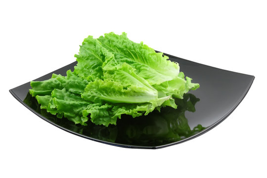 Leaf of lettuce on  black plate.Isolated