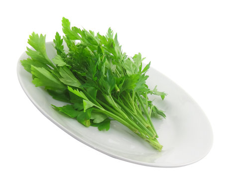 Parsley on white plate. Isolated