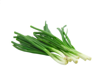 Green onion on white background. Isolated