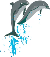 Poster Zwei Delfine springen aus dem Wasser © silvio_v