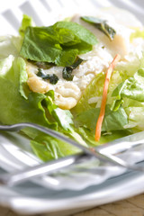 halibut fillet with mint