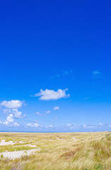 Dünenlandschaft