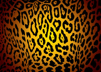 jaguar skin