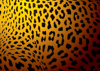 leopard skin gold