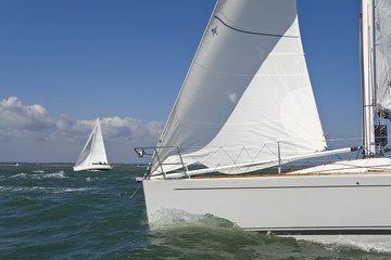Obraz premium Sailing Boats