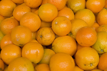 oranges