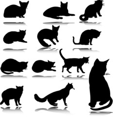 cat vector silhouettes