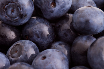 Blueberry Macro