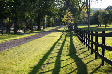 Fototapeta na wymiar countryside landscape with fence