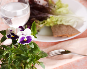 Fresh green salad with glass of water