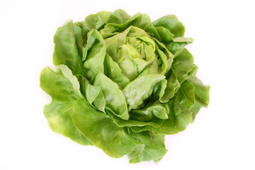 Obraz premium Kopfsalat,Gemüse