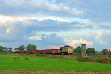 Fototapeta na wymiar Freight train passing the countryside