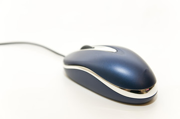 mouse 6