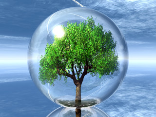 arbre dans sa bulle