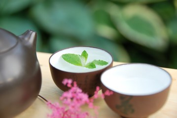 chinese tea in the garden