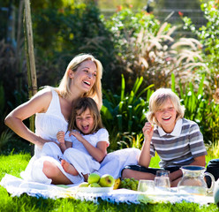 Mother and her children playing in a picnic