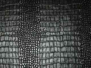 snake skin