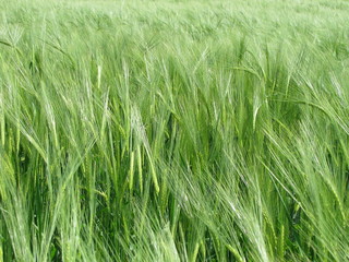 Ei ist das schön weich