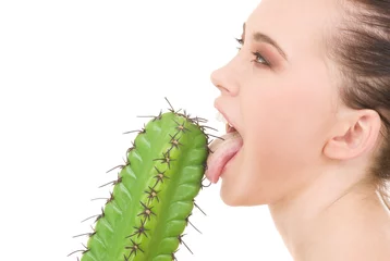 Rolgordijnen cactus games © Syda Productions