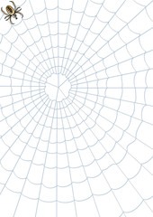 Background - Spinnennetz