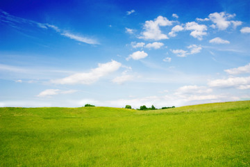 Obraz premium summer landscape