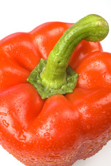Red pepper with White background