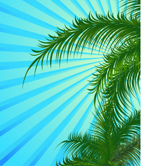 Summer background with palm trees. Vector illustration