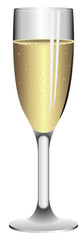 Tall wineglass filled with champagne isolated on white