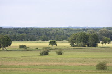 Fototapeta premium feld in bayern