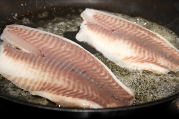 Tilapia Fischfilet