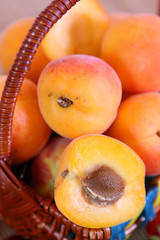 Abrikosen im Korb
