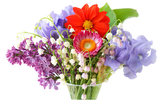 Color Flower in vase