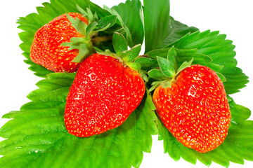 strawberry