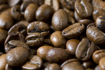 brown coffee beans