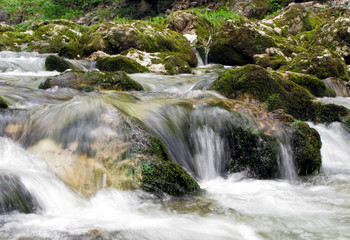Fototapeta premium bemooste Felsen - mossy rocks