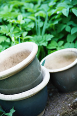Three large earthenware pots at the edge of a garden..
